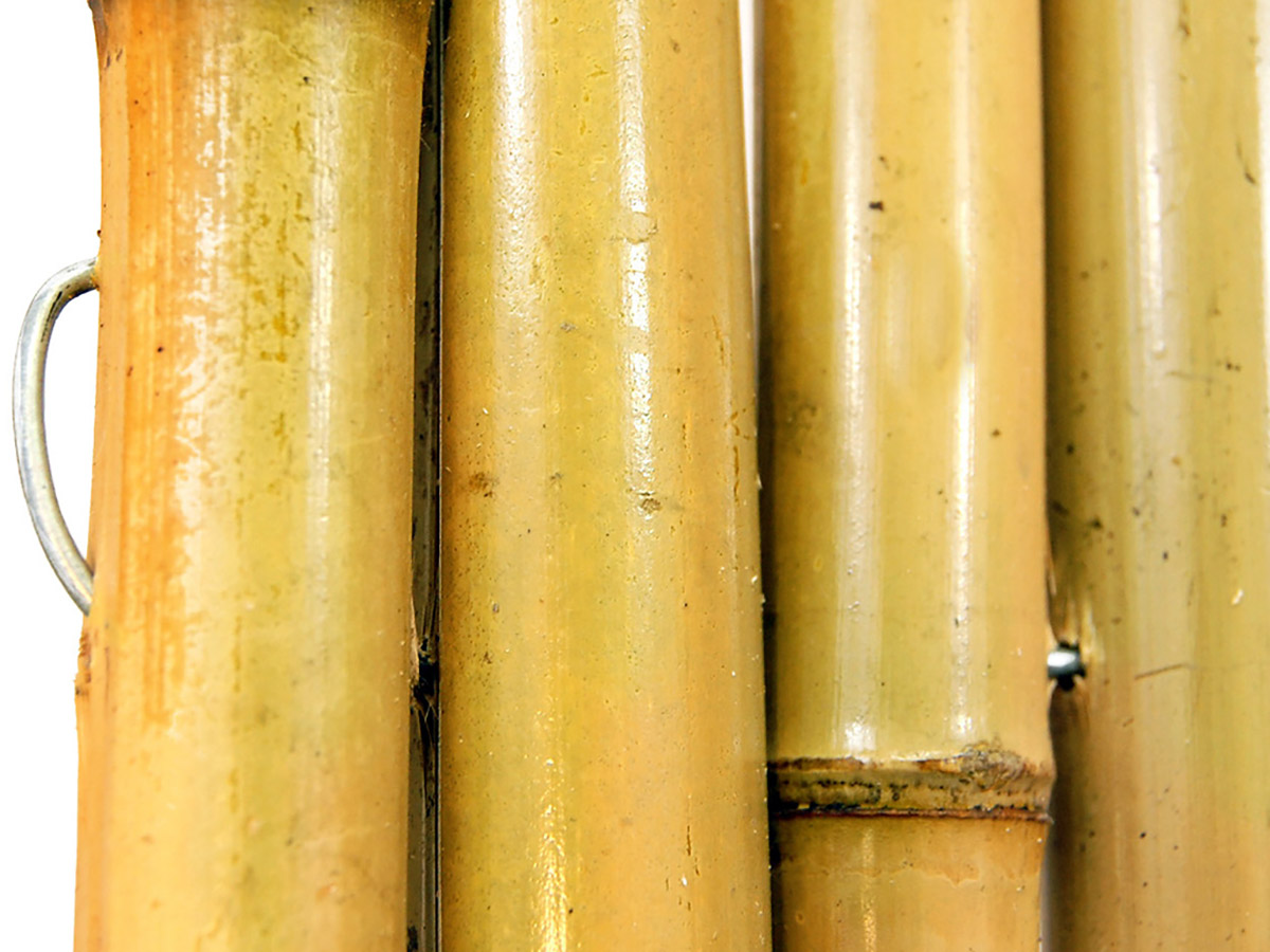 particolare di canne di bambu